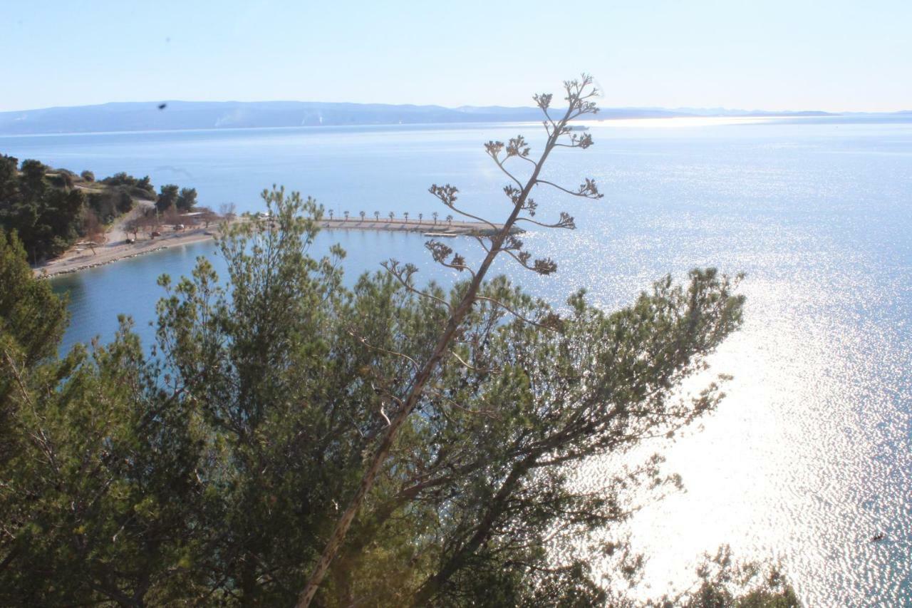Paradise Apartment With Big Sunny Terrace In The Old Town, Few Meters From The Sea & Riva Promenade Сплит Экстерьер фото